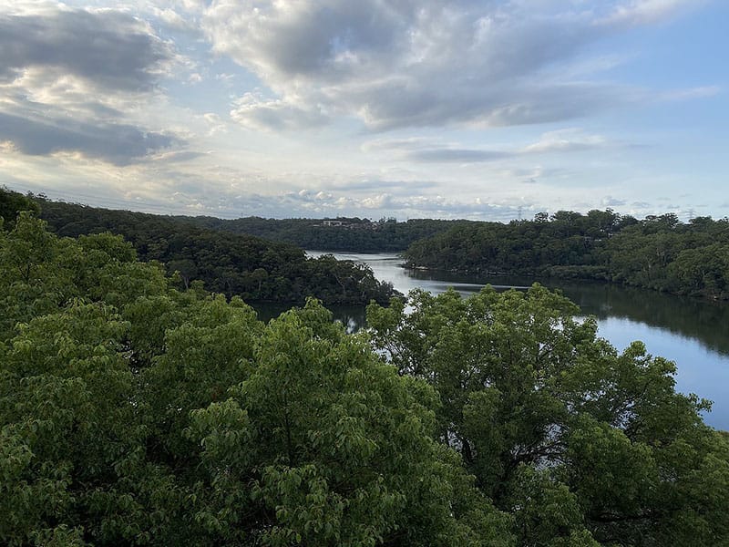 Painting a grand, multi-storey home with views of the Georges River in Lugarno